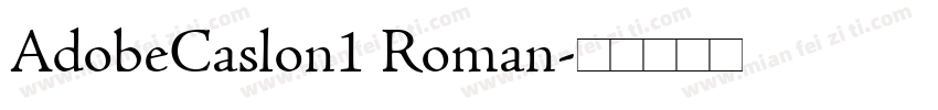 AdobeCaslon1 Roman字体转换